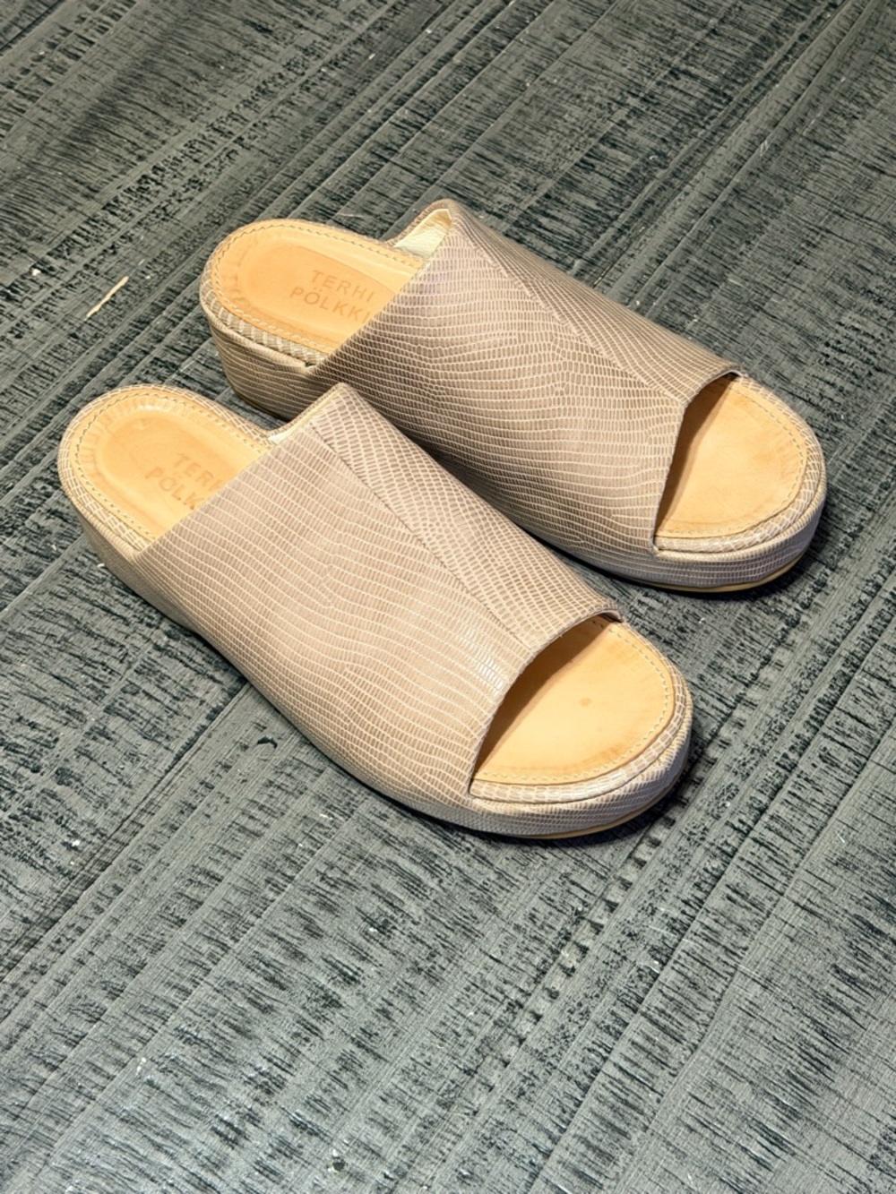 Kate Slide Lizard Beige in a Textured Slide by Terri Polkki